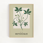 Botanique No. 6