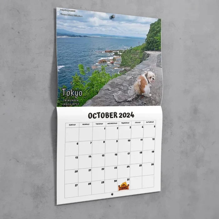 Funniest Calendar-Dogs Pooping in Beautiful Places | "Artistic Expression" of Furry Friends