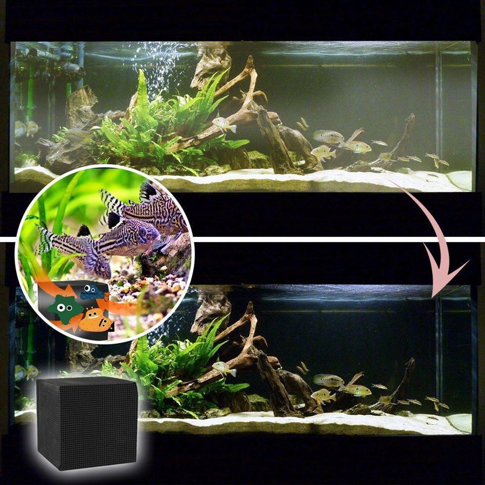 Eco-Aquarium Water Cleaner Cube