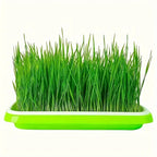 Germination trays with lid – Double-layer seed sowing tray for effective seed germination