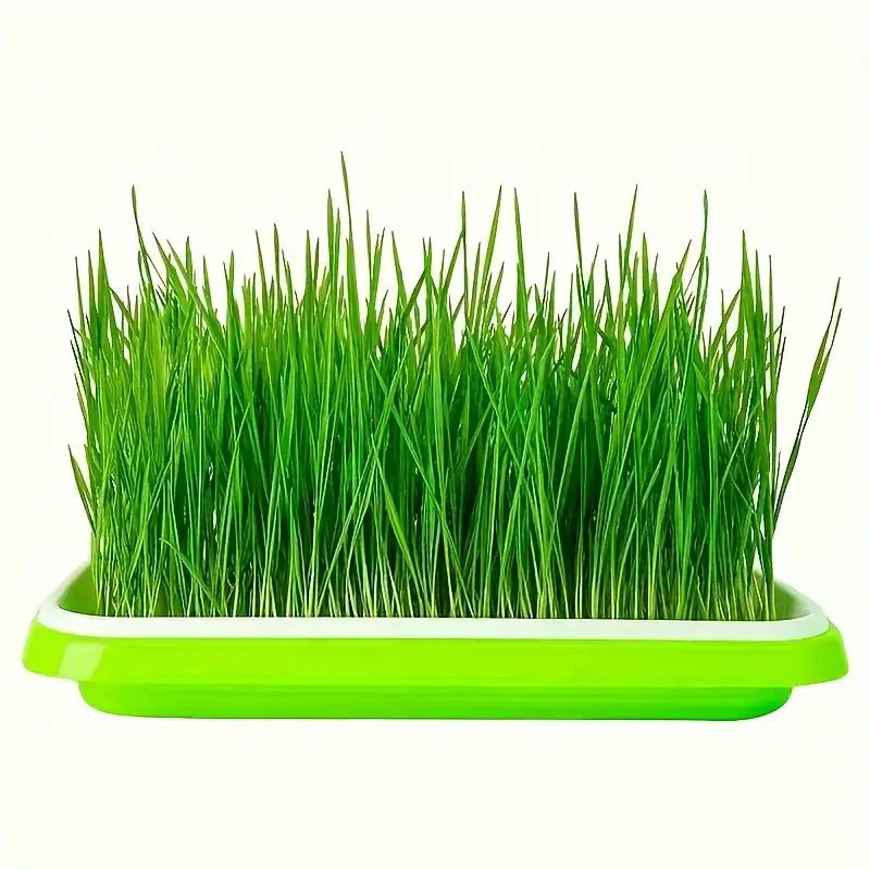 Germination trays with lid – Double-layer seed sowing tray for effective seed germination