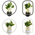 Ring-shaped Wall Lamp Nordic Acrylic Nightstand LED Wall Lamp with Glass Plant Holder