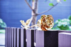 24K Gold Roses