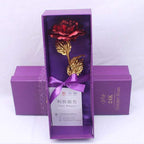 24K Gold Roses