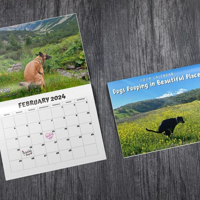 Funniest Calendar-Dogs Pooping in Beautiful Places | "Artistic Expression" of Furry Friends