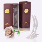24k Gold Dipped Eternal Rose