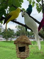 Parrot Garden Decoration - Tropic