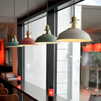 Pendant Light Vintage Industrial Metal Ceiling Lamp