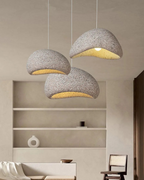 Modern Pendant Lamp Design Atmospheric LED Ceiling Light