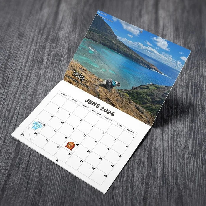 Funniest Calendar-Dogs Pooping in Beautiful Places | "Artistic Expression" of Furry Friends