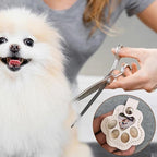 Memorial keychain for pets
