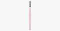Makeup Brush