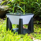 SolarPath Outdoor Light