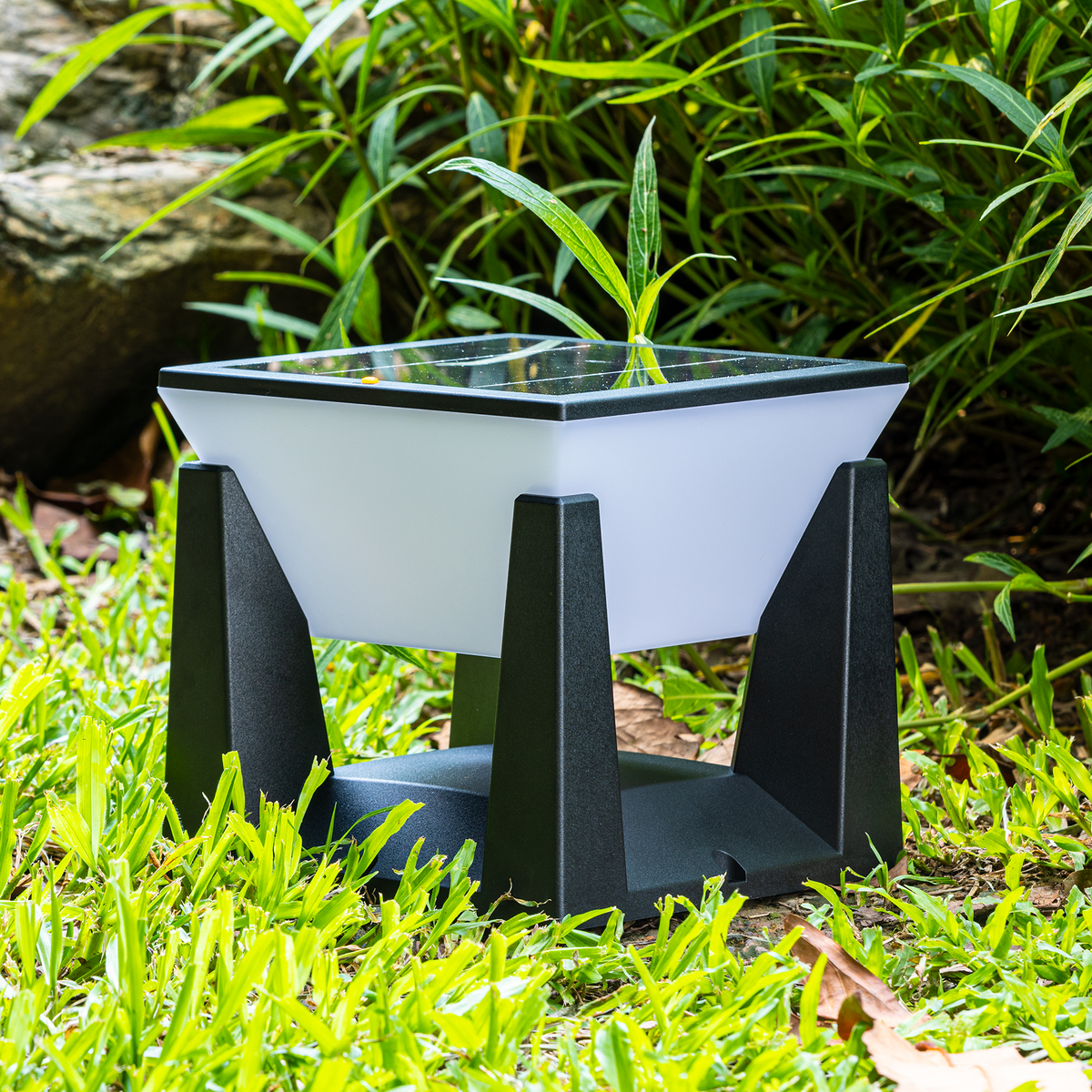 SolarPath Outdoor Light