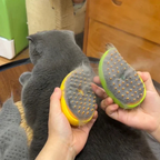 3-in-1 Steam Care Brush | Ultimate Tool for Pet Care