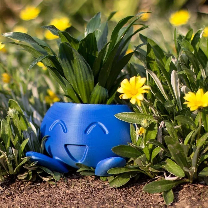 JoyPot – Brighten up any room with a fun, healthy plant showcase