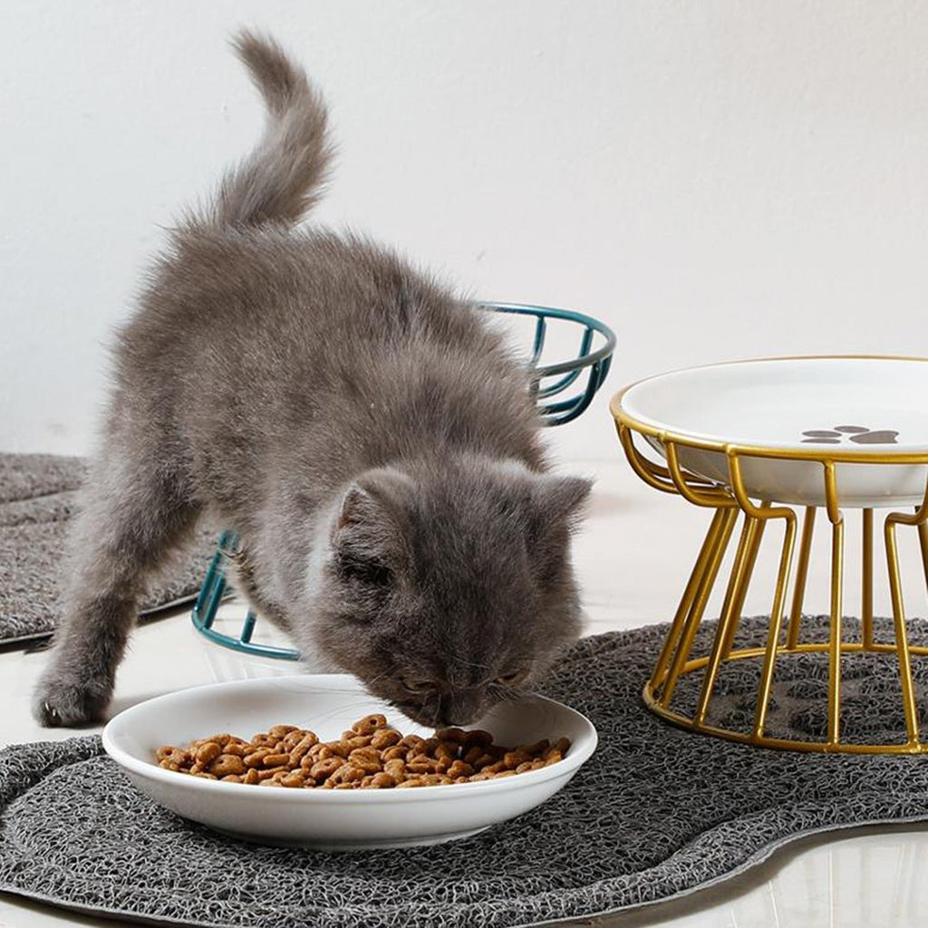 Vomit Cat Plate