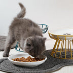 Vomit Cat Plate
