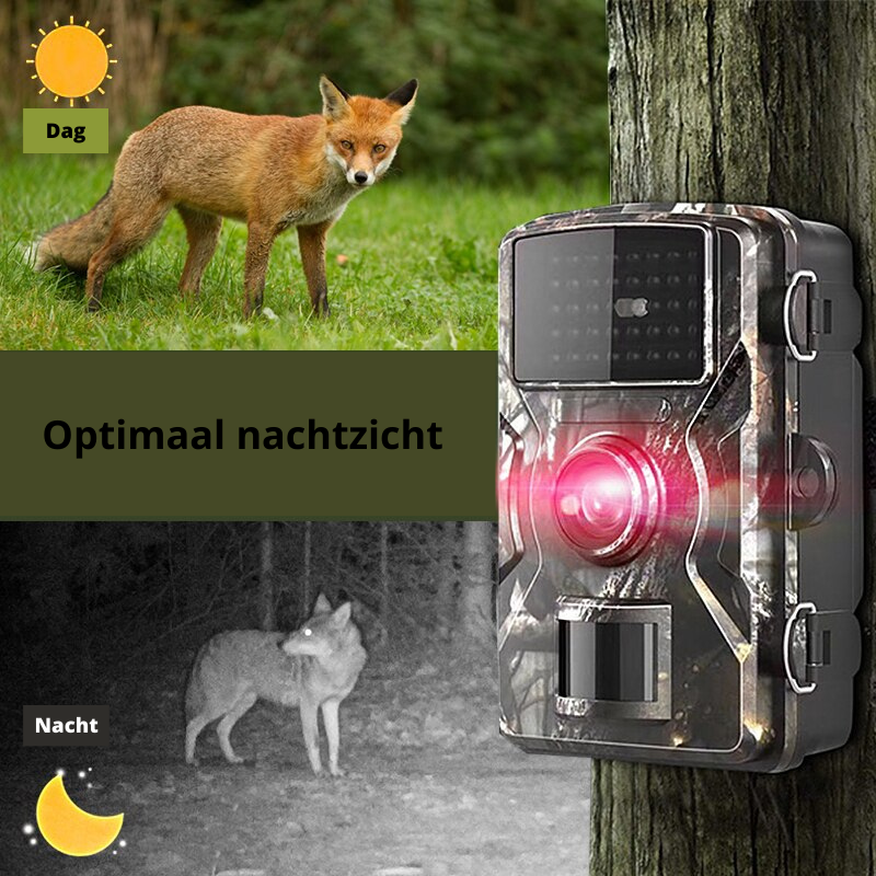 Compact 4K Outdoor Camera with Night Vision