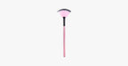 Fan Brush