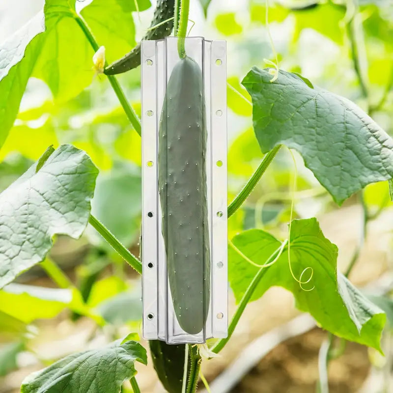 Star shape vegetable mold for cucumbers – Creative mold rail for fruits and vegetables