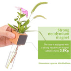 Magnetic Mini Vase – Wood & Glass Wall-Mount Decor for Flowers & Cuttings