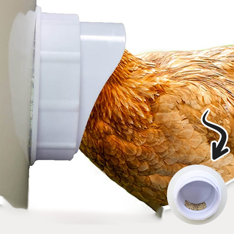 DIY Chicken Feeder