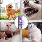 Oral Restoration Gel for Pets