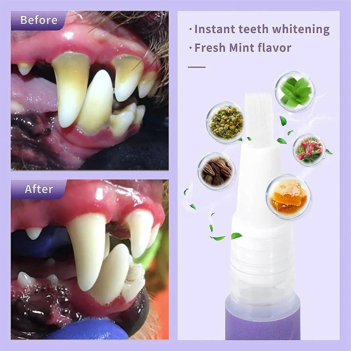 Oral Restoration Gel for Pets