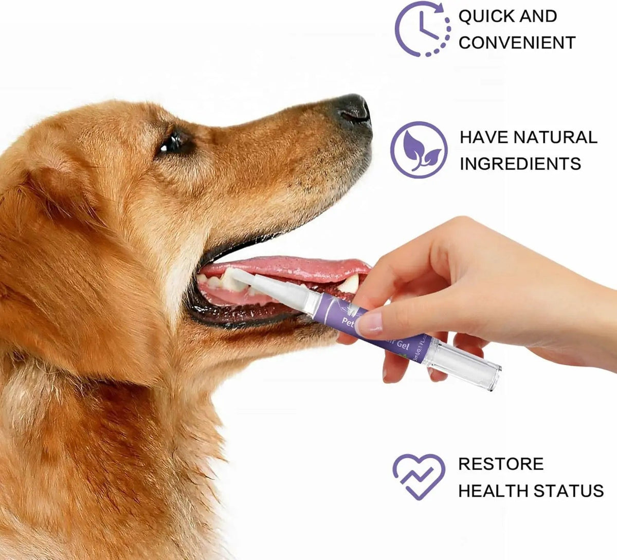 Oral Restoration Gel for Pets