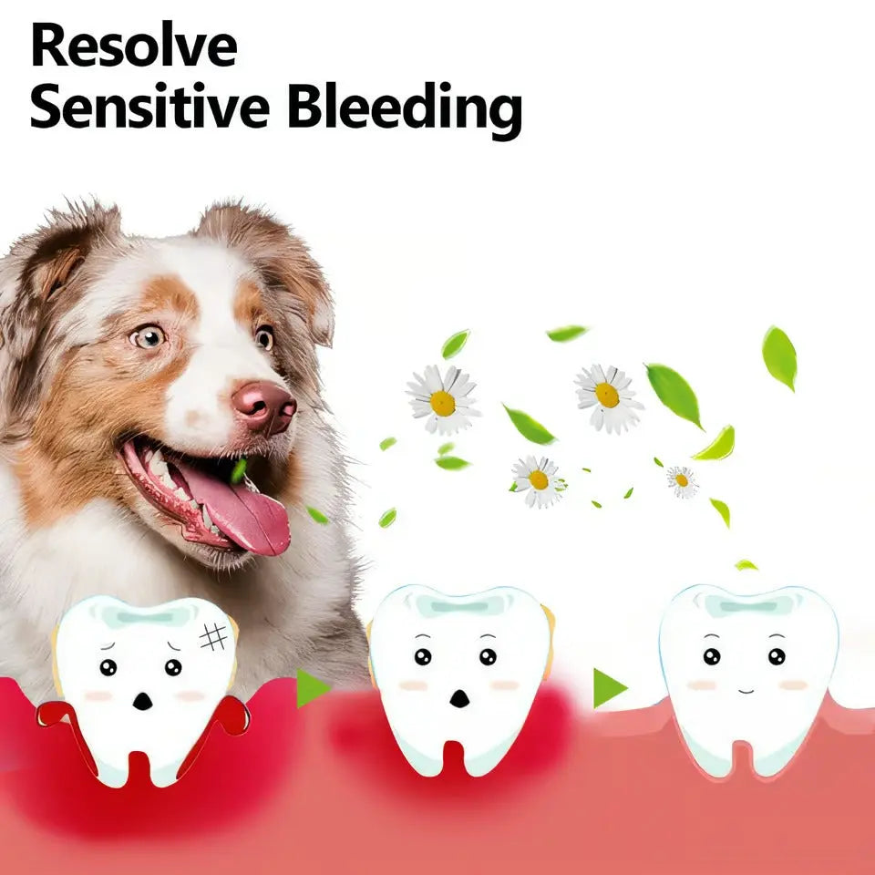 Oral Restoration Gel for Pets