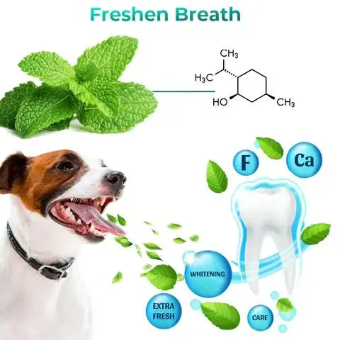 Oral Restoration Gel for Pets