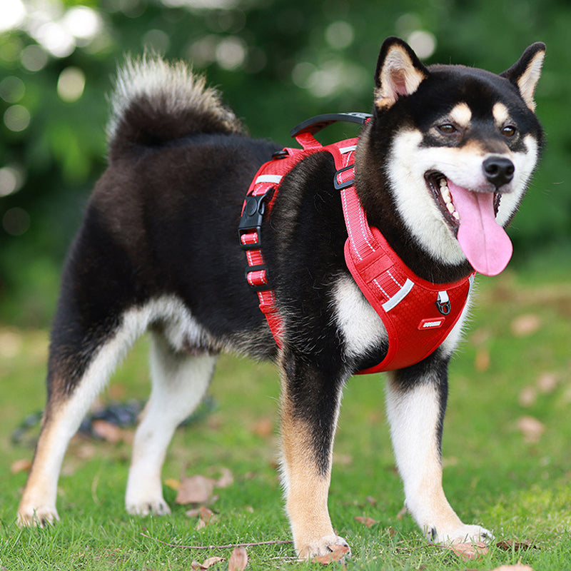 Reflective Dog Harness