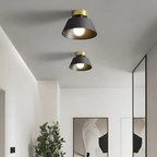 RetroStyle | Elegant LED Ceiling Lamp for Indoor Use