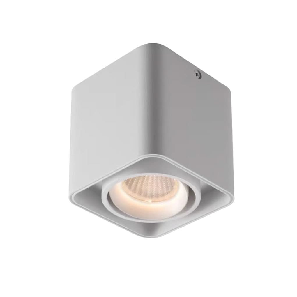 Square Adjustable Ceiling Lamp with Dimmable LED Light