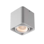 Square Adjustable Ceiling Lamp with Dimmable LED Light