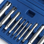 Multifunctional Set for Removing Damaged Screws