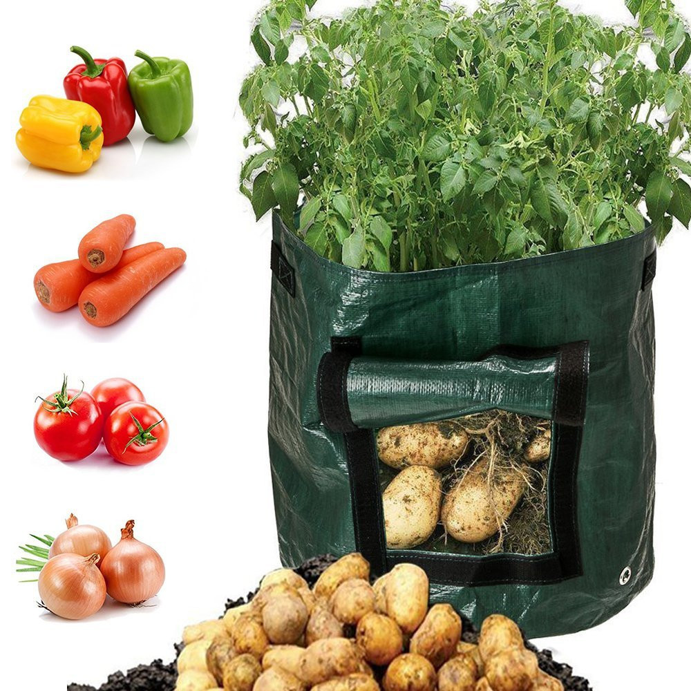 Planting bag for potatoes – Reusable and with viewing window