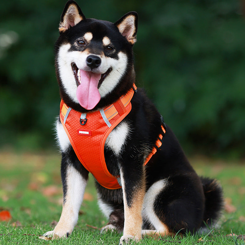 Reflective Dog Harness