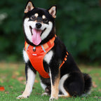 Reflective Dog Harness