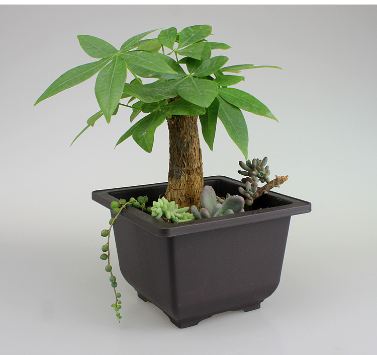 Plant pot with saucer – Rectangular flower pot for garden and balcony