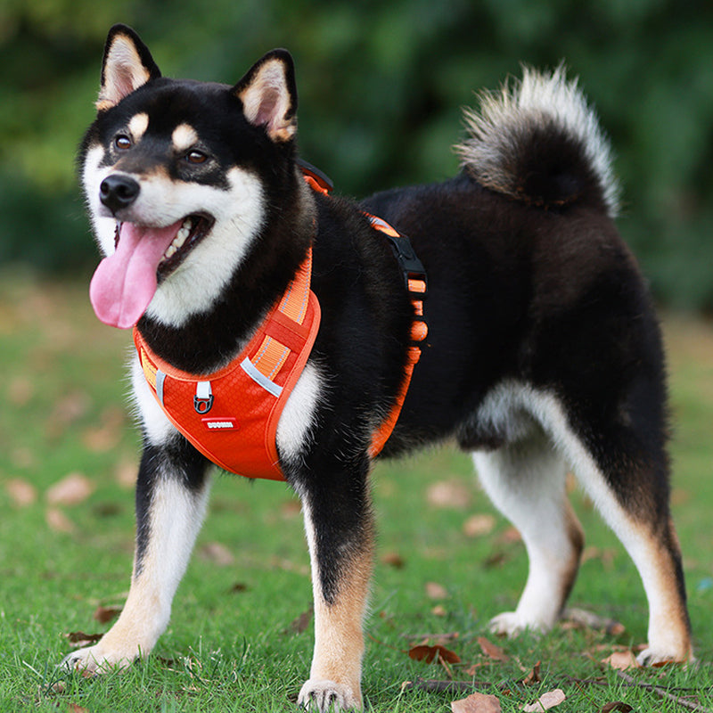 Reflective Dog Harness