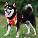 Reflective Dog Harness