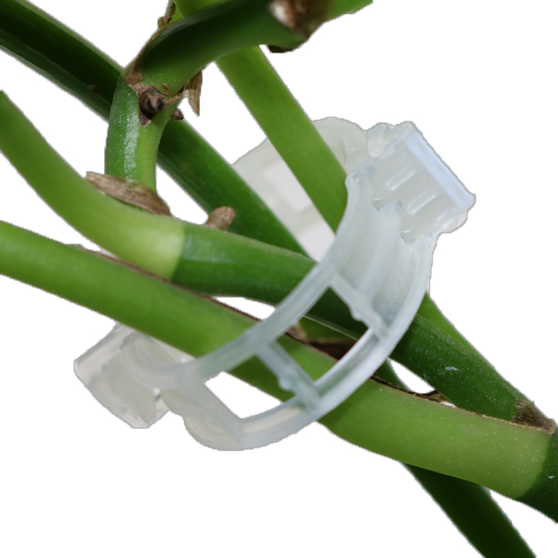 Plant support clip for climbing plants – Flexible holder for plant stems