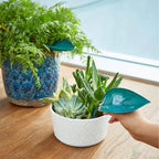 Funny Watering Leaves (6pcs)