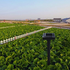 Solar-powered snake and pest deterrent – Ultrasonic device for the garden