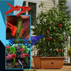 Plastic Refinement Clips for Garden Plants – Ideal for Vegetables and Plant Care