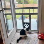 Magnetic Locking Cat and Dog Door