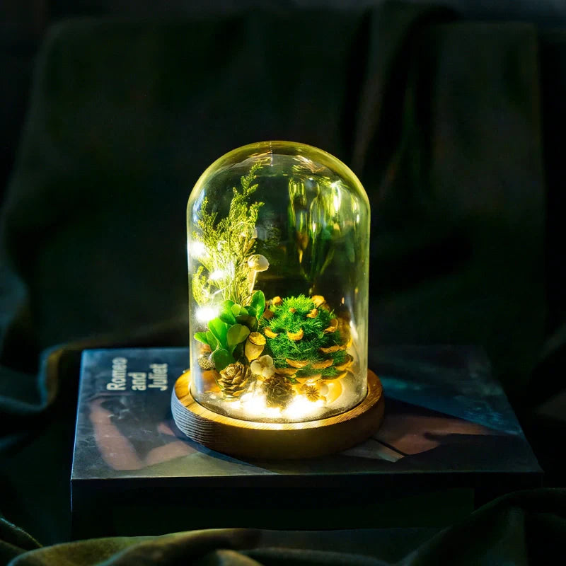 EternaBloom Night Light