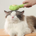 Cleaning brush for pet hair